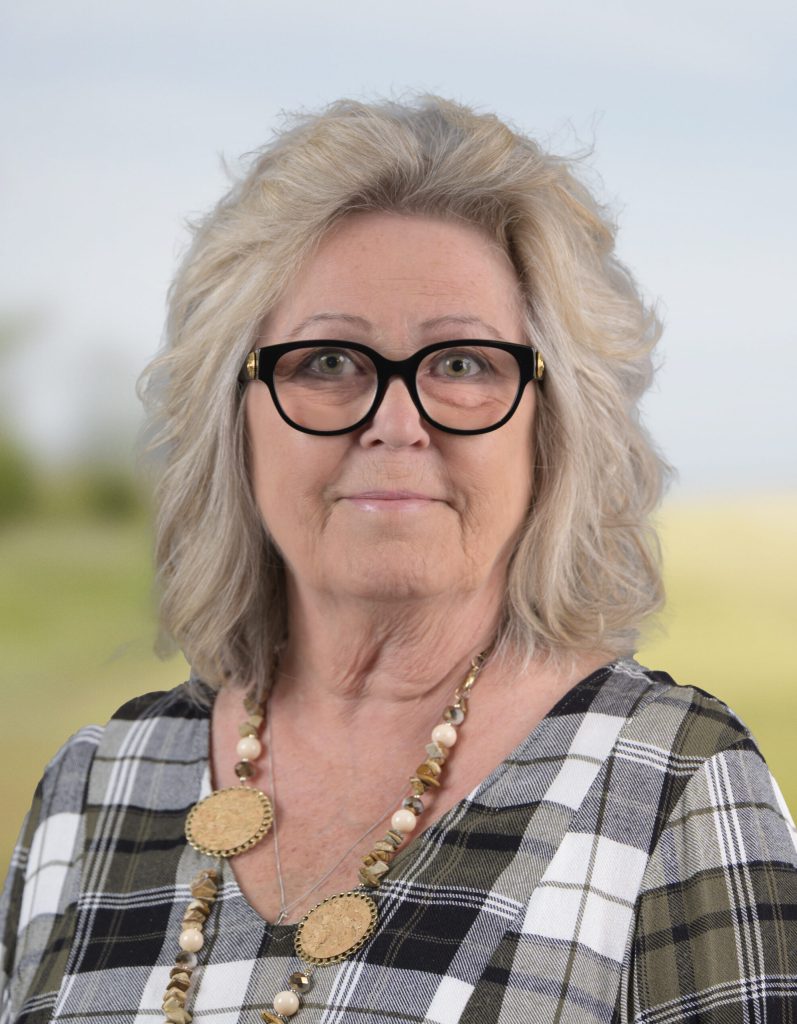 Plakatfil 2011 edit dina oxfeldt